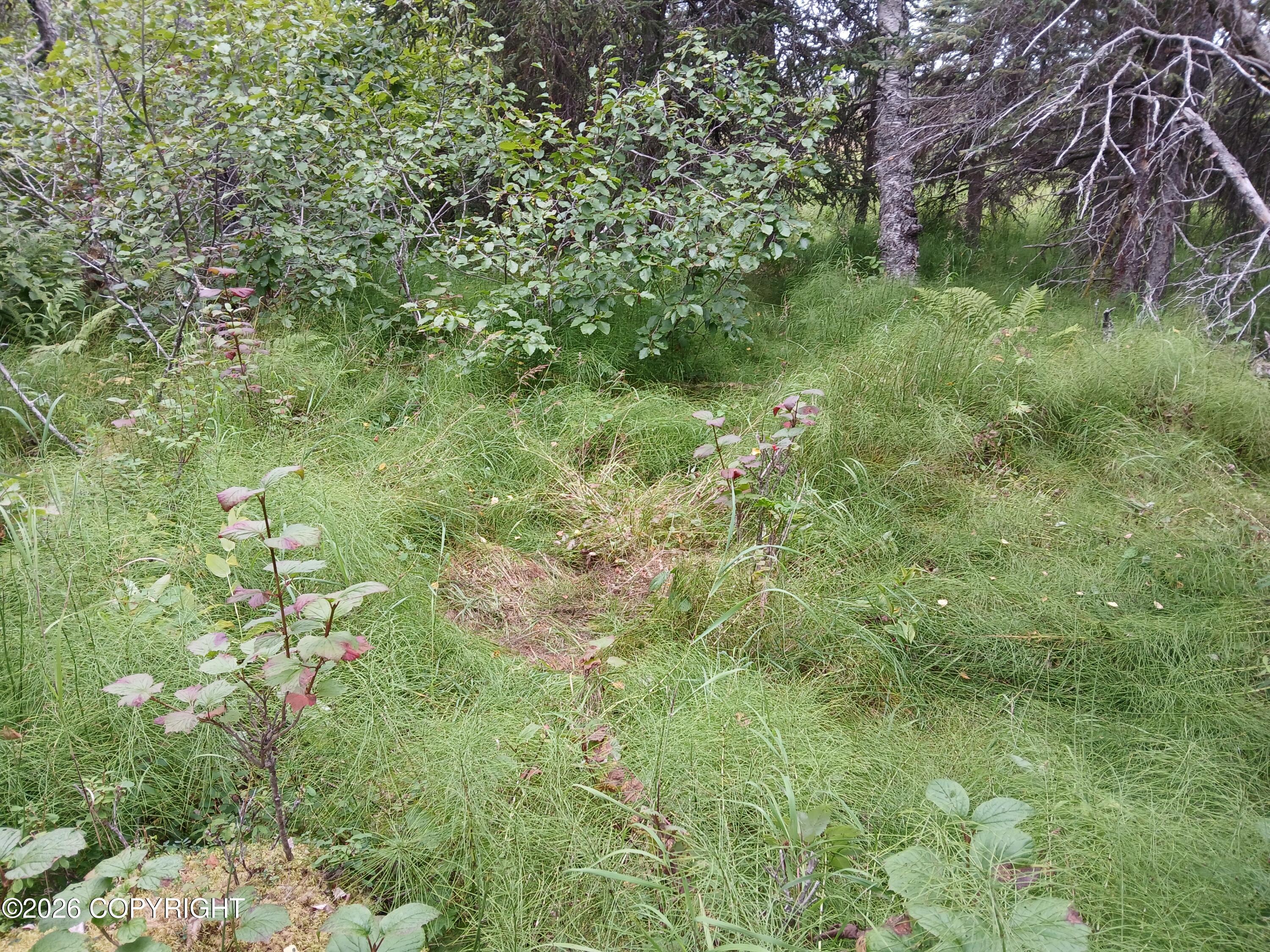 L17 Marik Street Property Photo 16