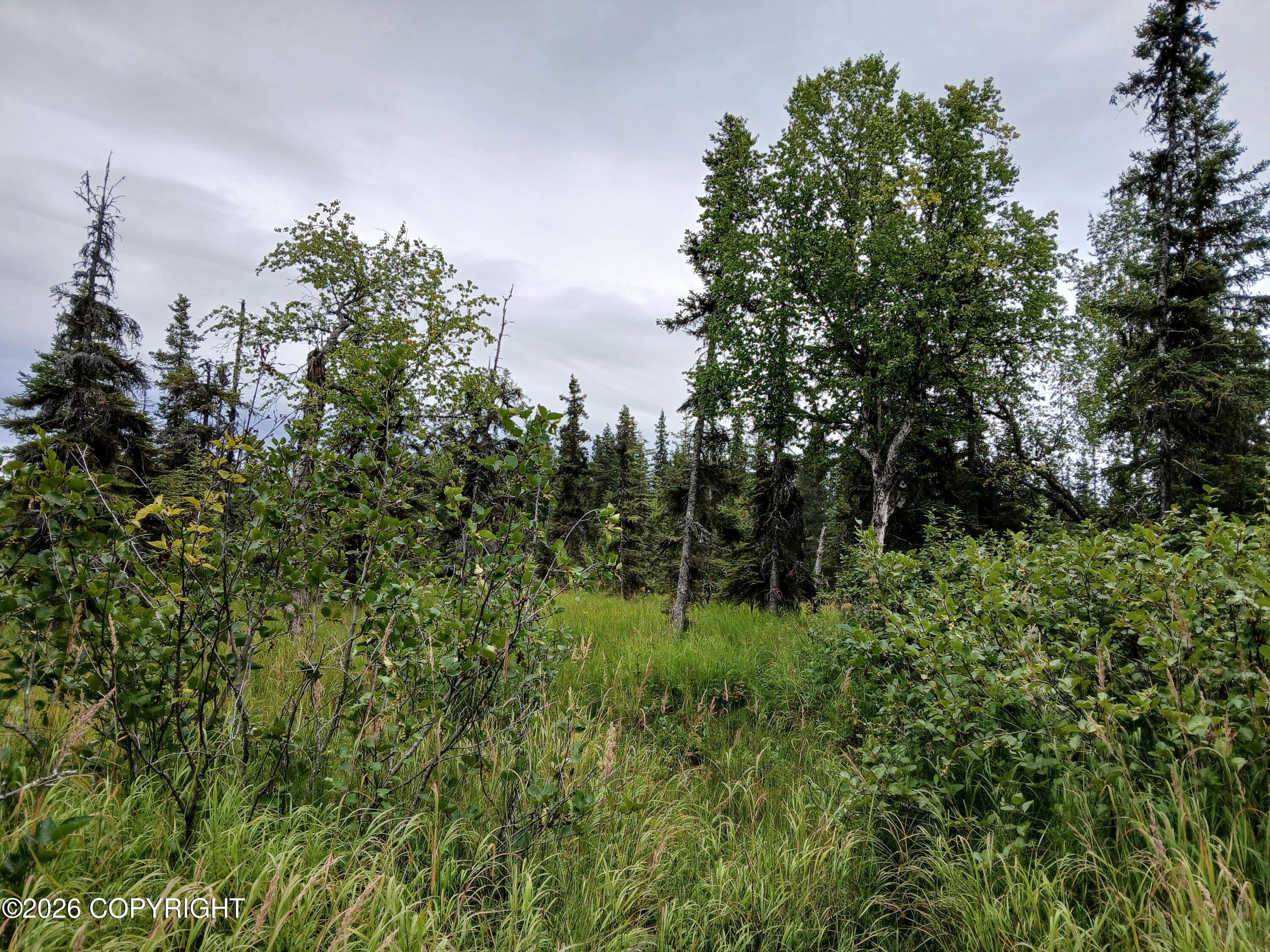 L17 Marik Street Property Photo 17