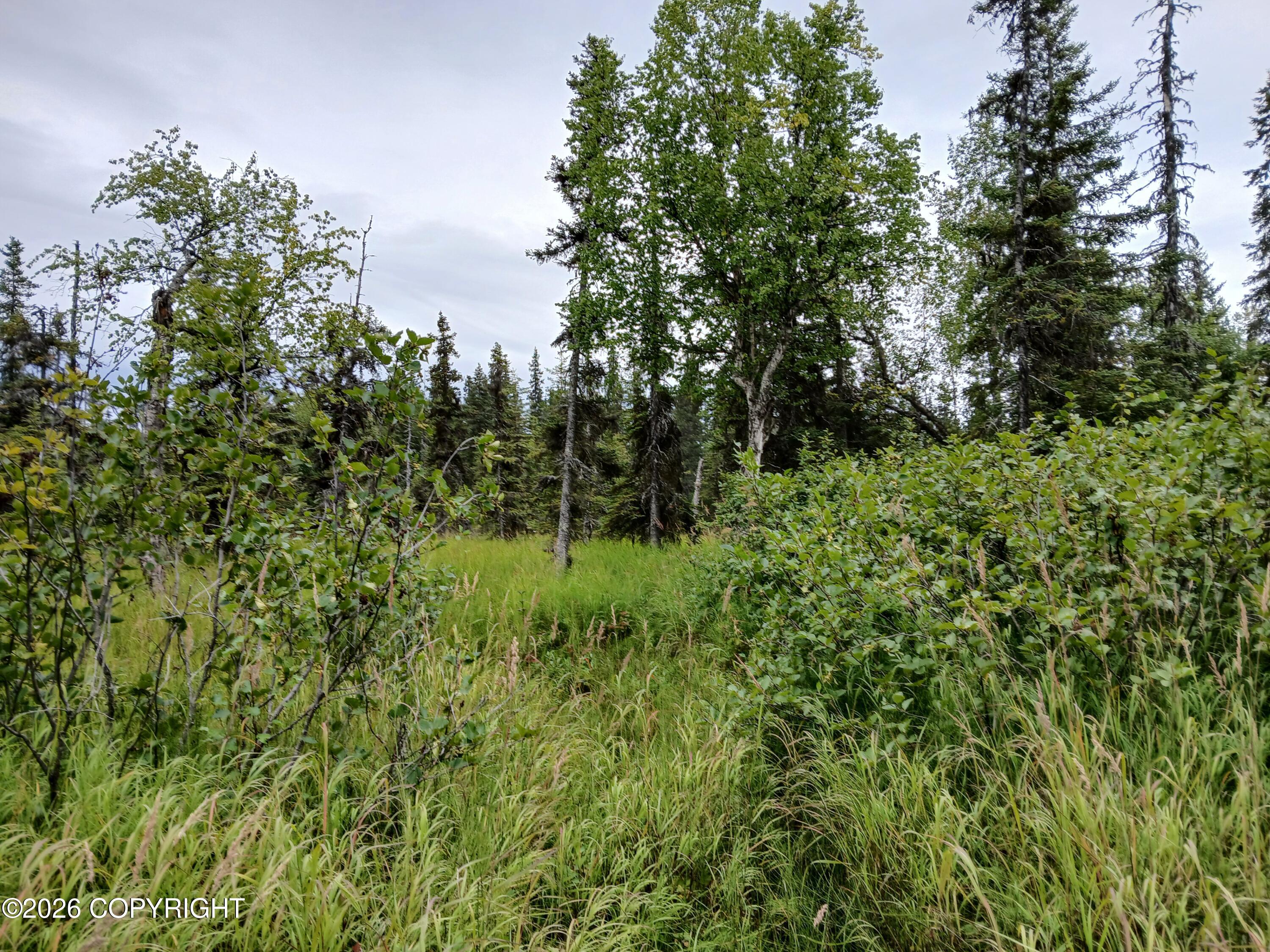 L17 Marik Street Property Photo 18