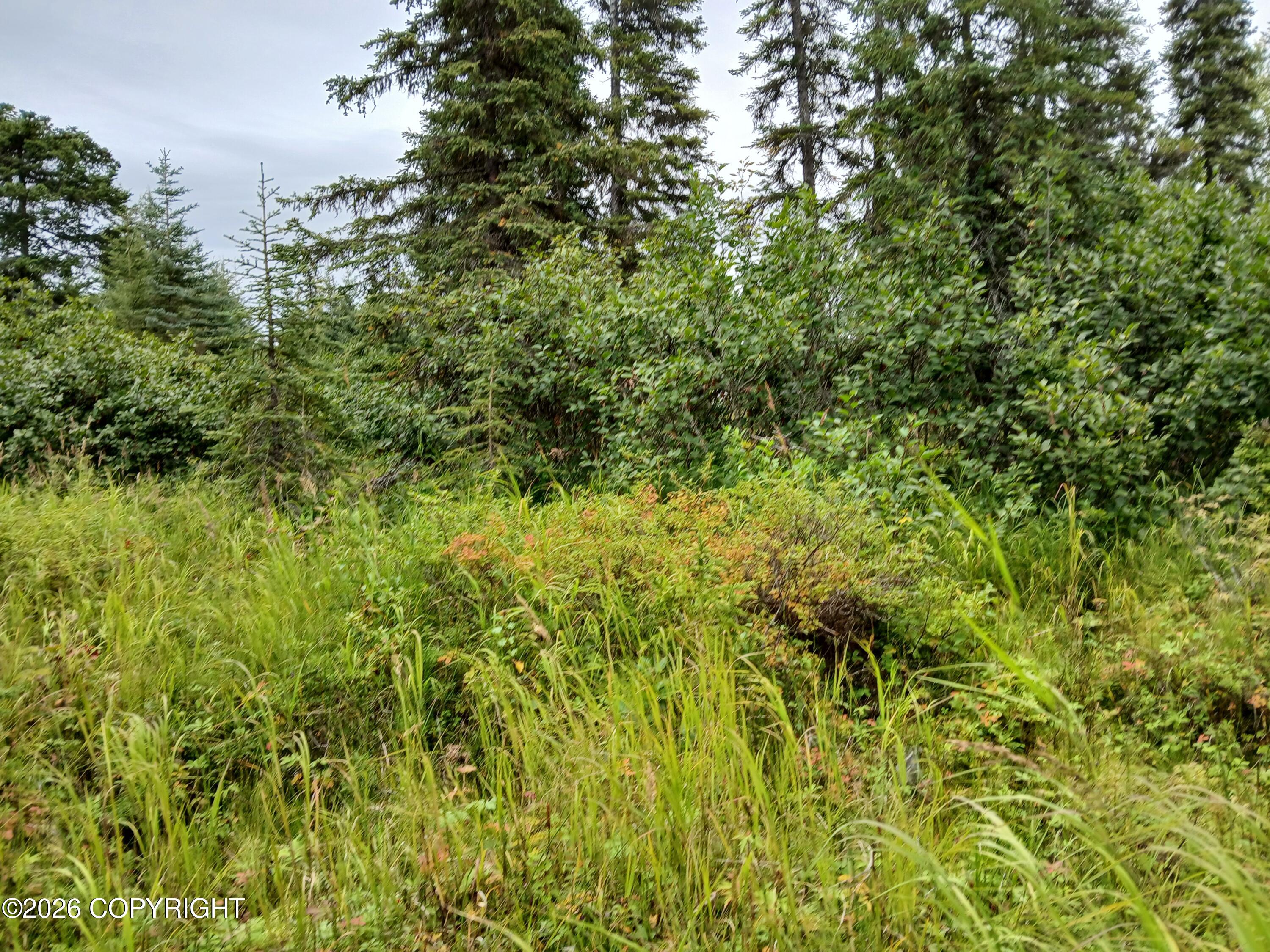 L17 Marik Street Property Photo 20