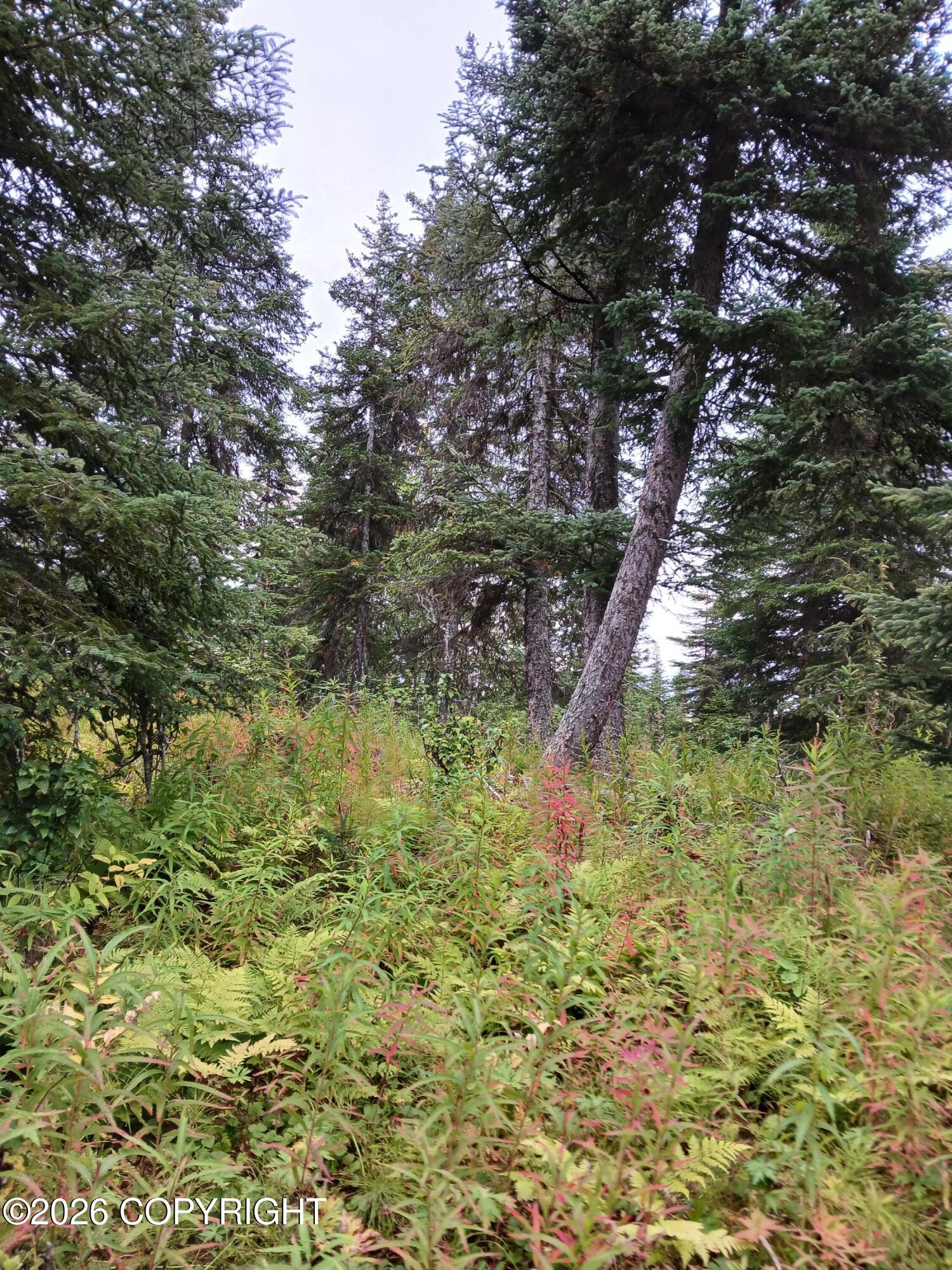 L17 Marik Street Property Photo 26