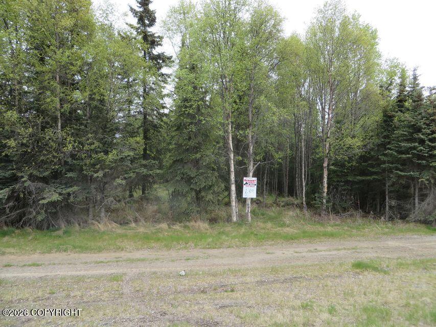 14320 Kenai Spur Highway Property Photo 1
