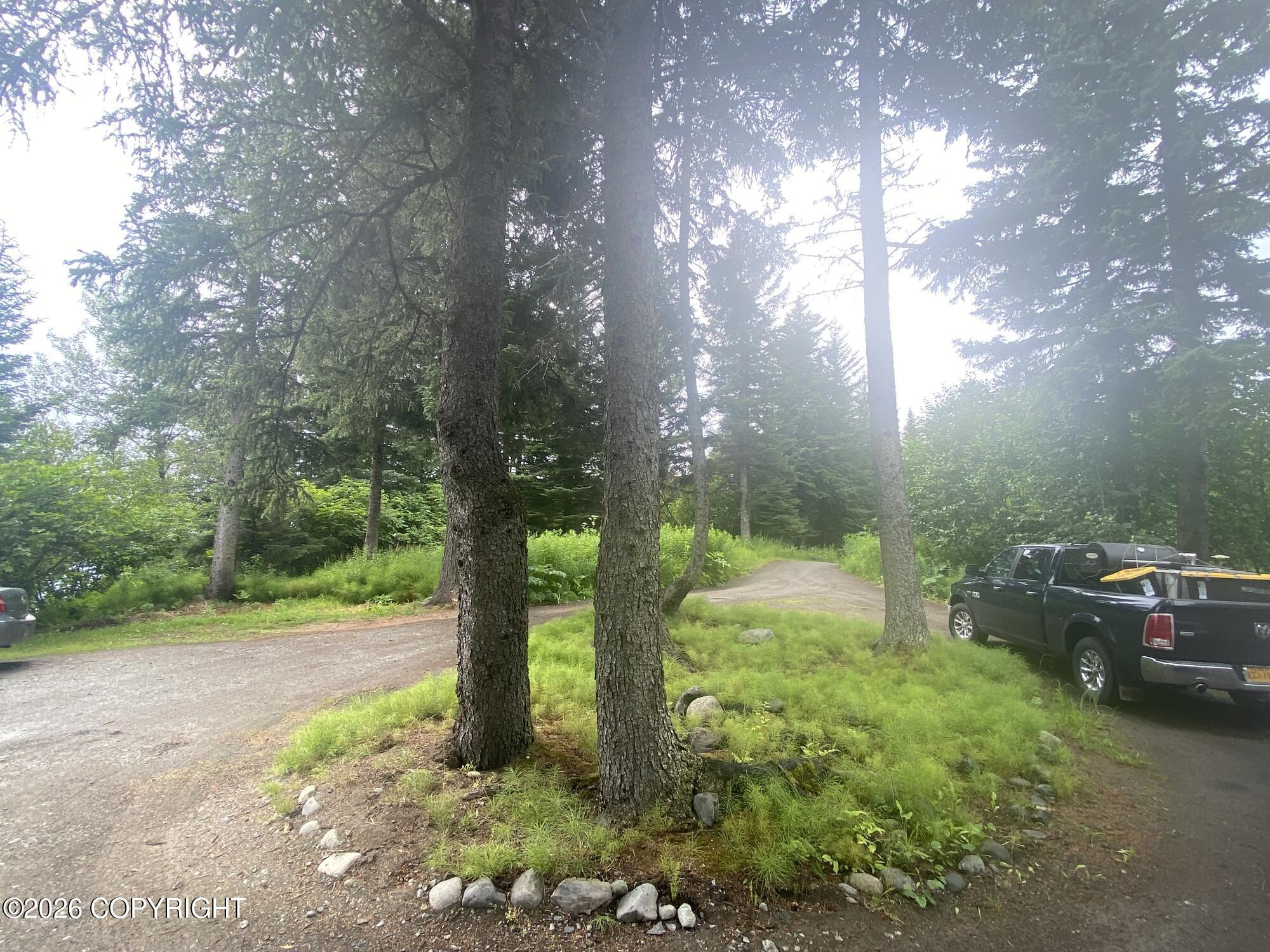 3153 Sterling Highway Property Photo 29