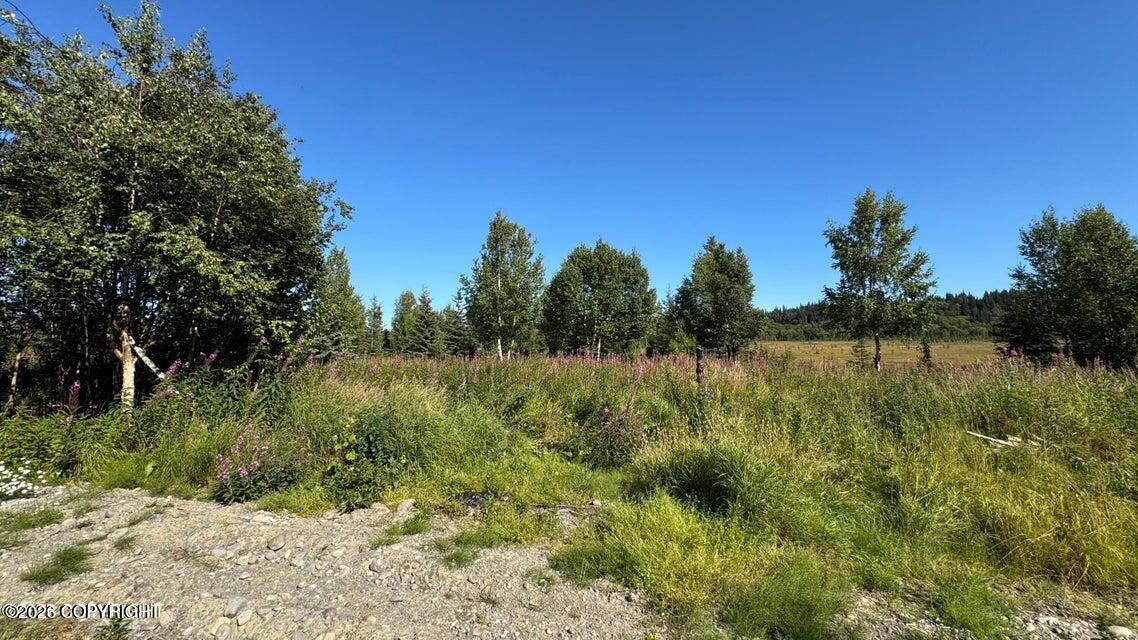 25850 Stinkbug Street Property Photo 4