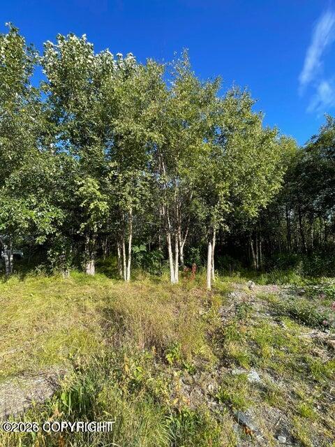 25850 Stinkbug Street Property Photo 6
