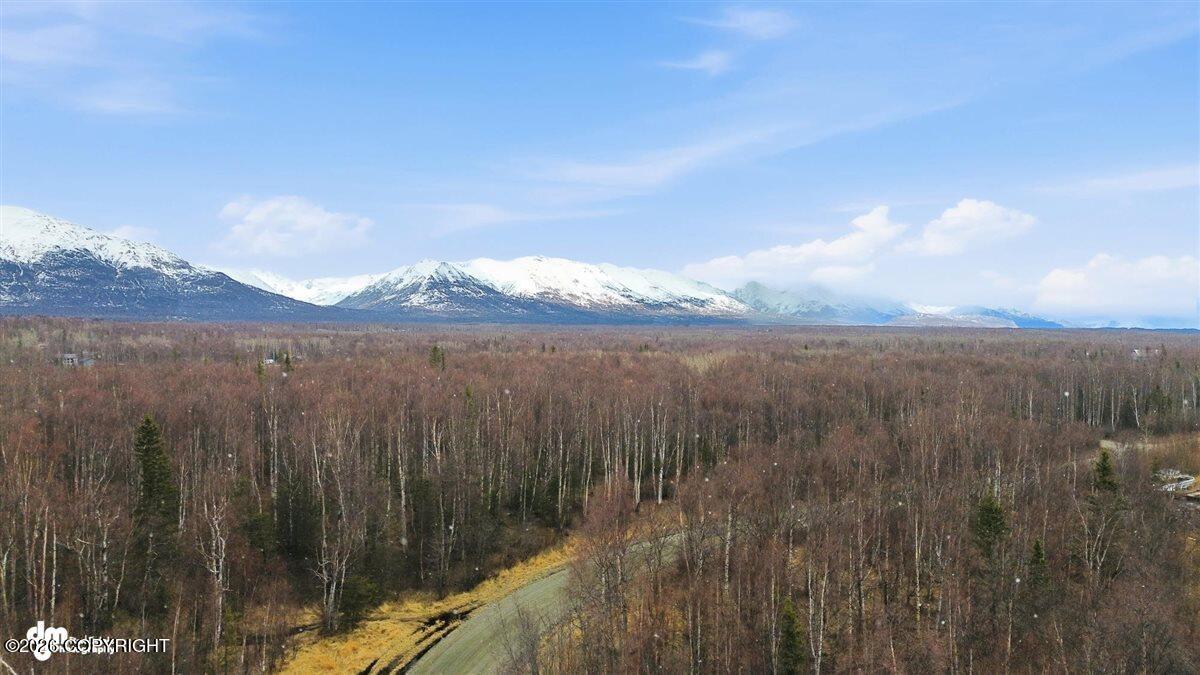 4620 E Hart Lake Loop Property Photo 3