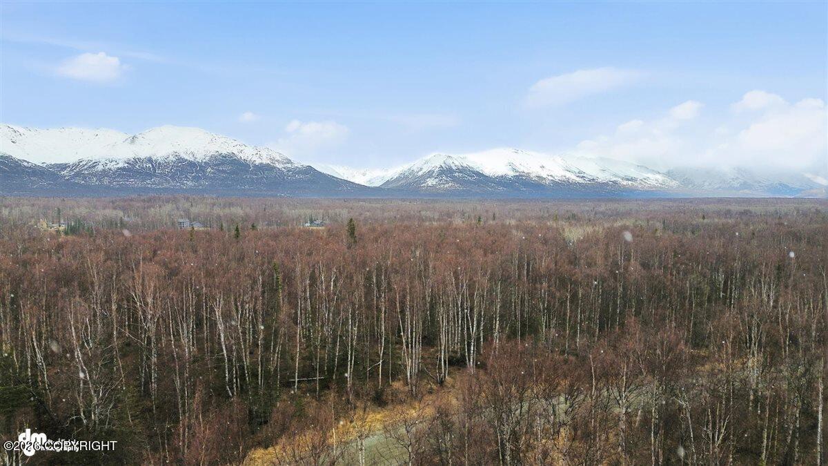 4620 E Hart Lake Loop Property Photo 6