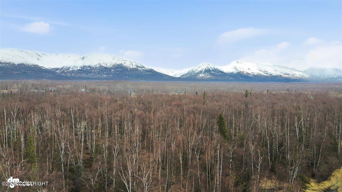 4620 E Hart Lake Loop Property Photo 7