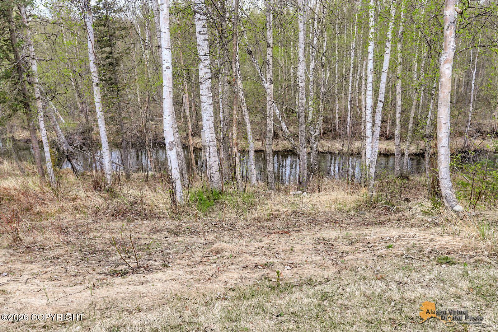 3170 W Secluded Meadows Loop Property Photo 40