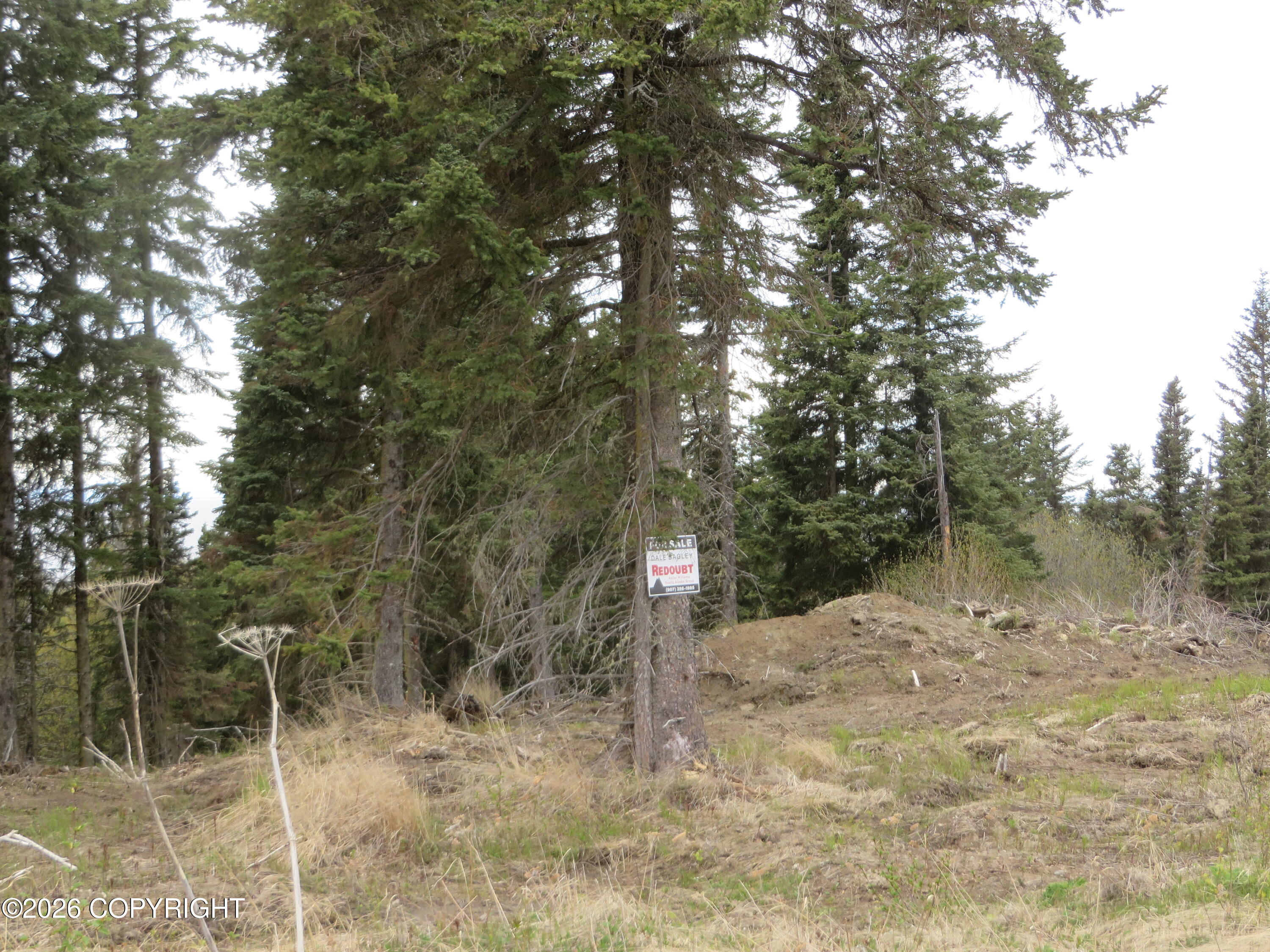 L2 Sterling Highway Property Photo 2
