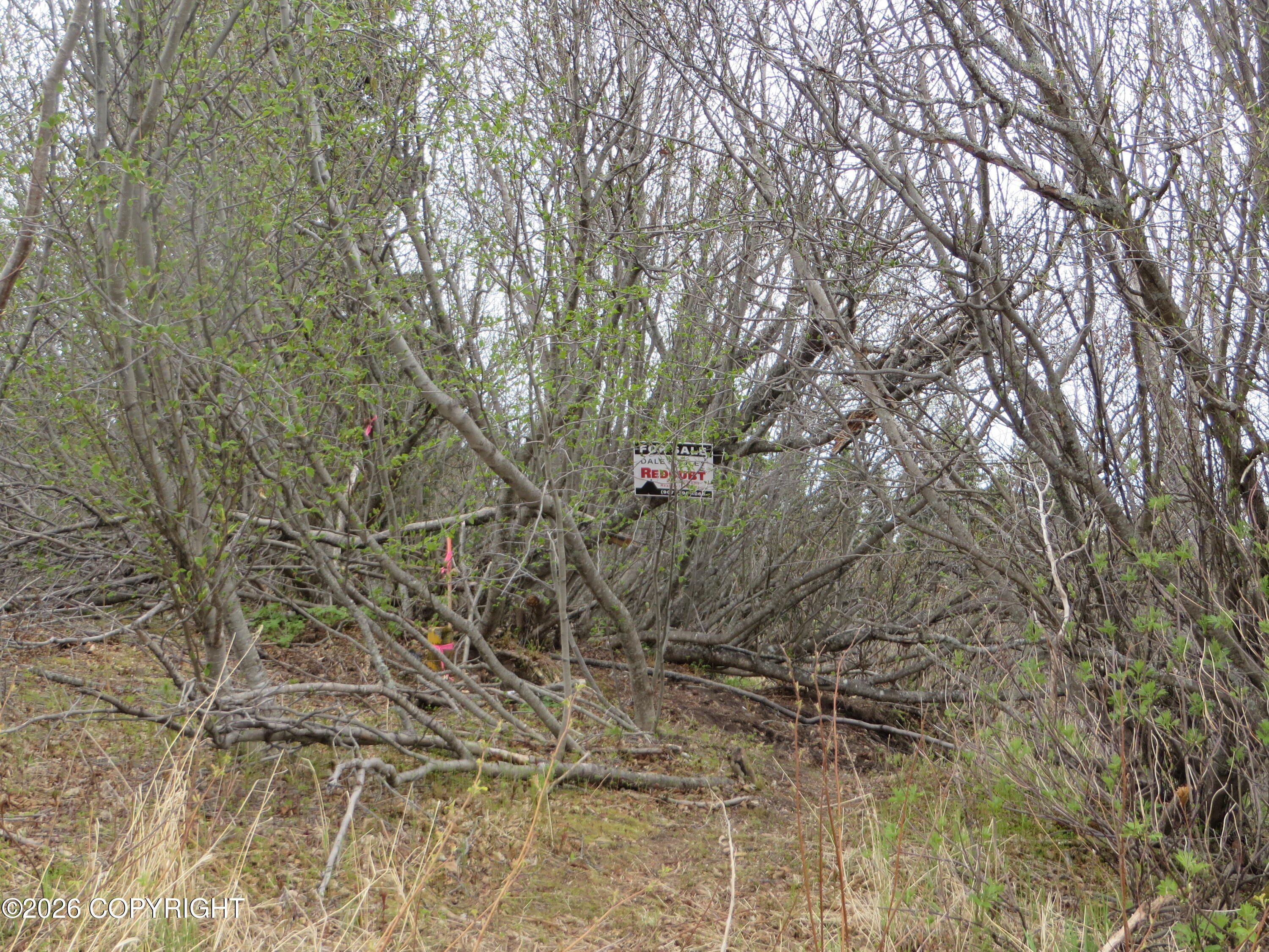 L3 Sterling Highway Property Photo 2