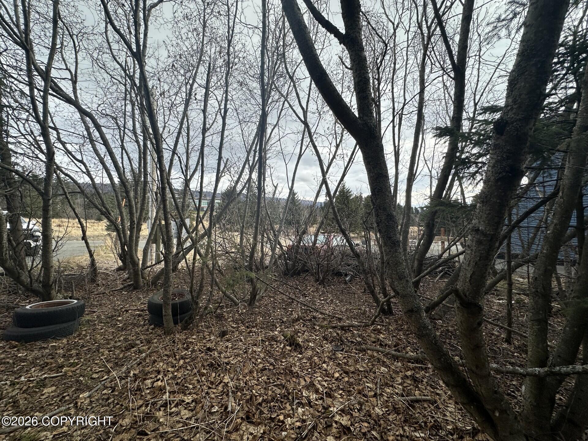 253 E Bunnell Avenue Property Photo 9
