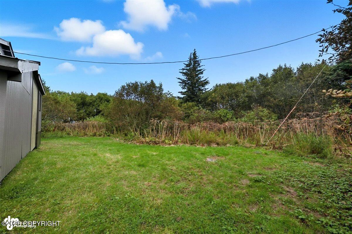 31190 Sterling Highway Property Photo 31