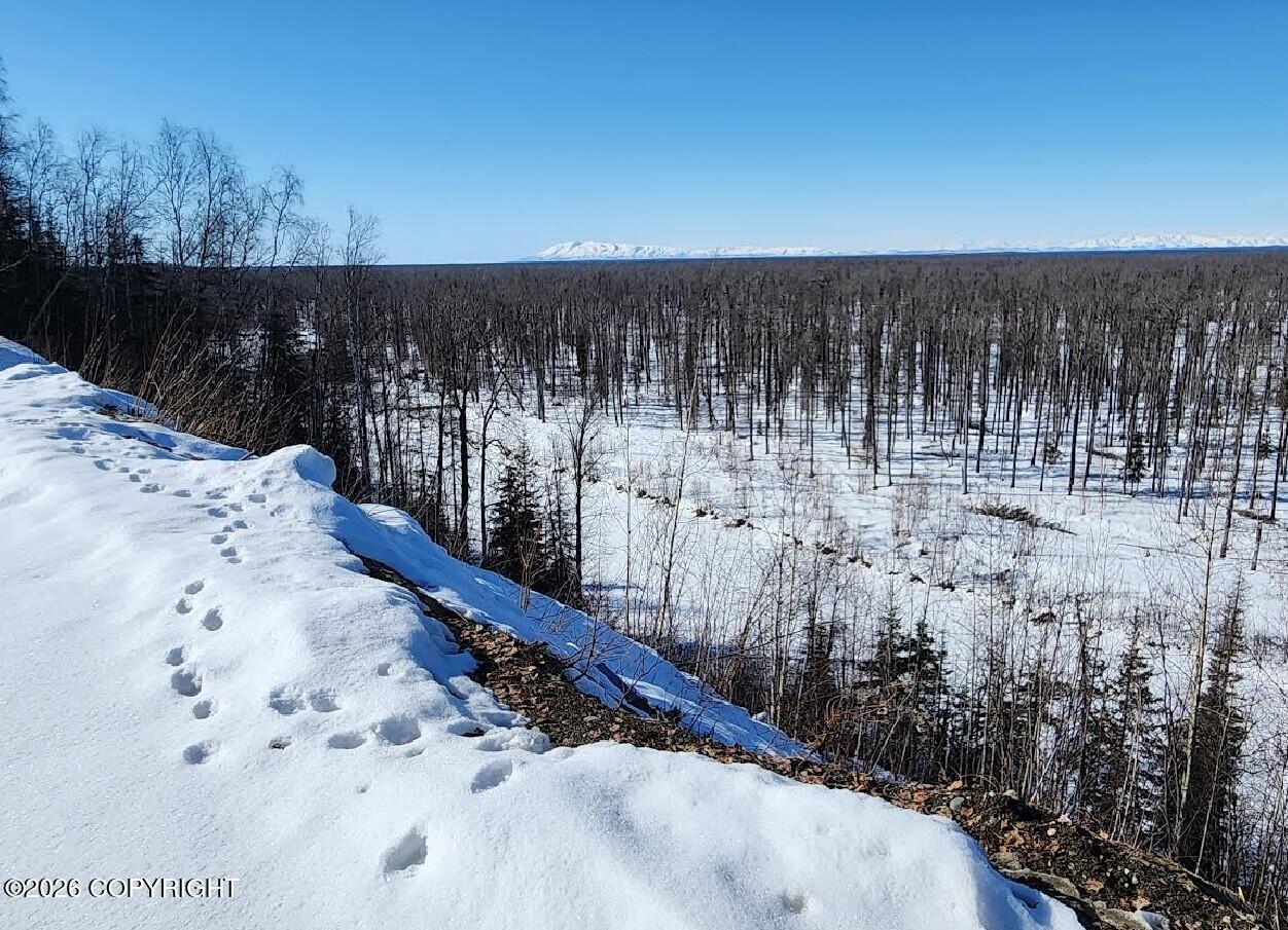 23002 N Gerald Circle Property Photo 18