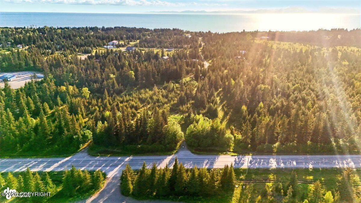 33045 Sterling Highway Property Photo 10