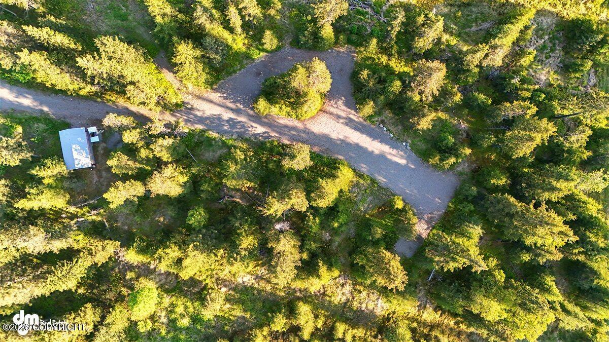 33175 Sterling Highway Property Photo 5