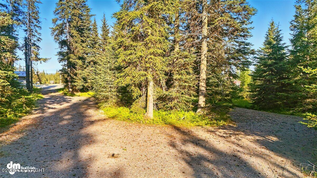 33175 Sterling Highway Property Photo 14