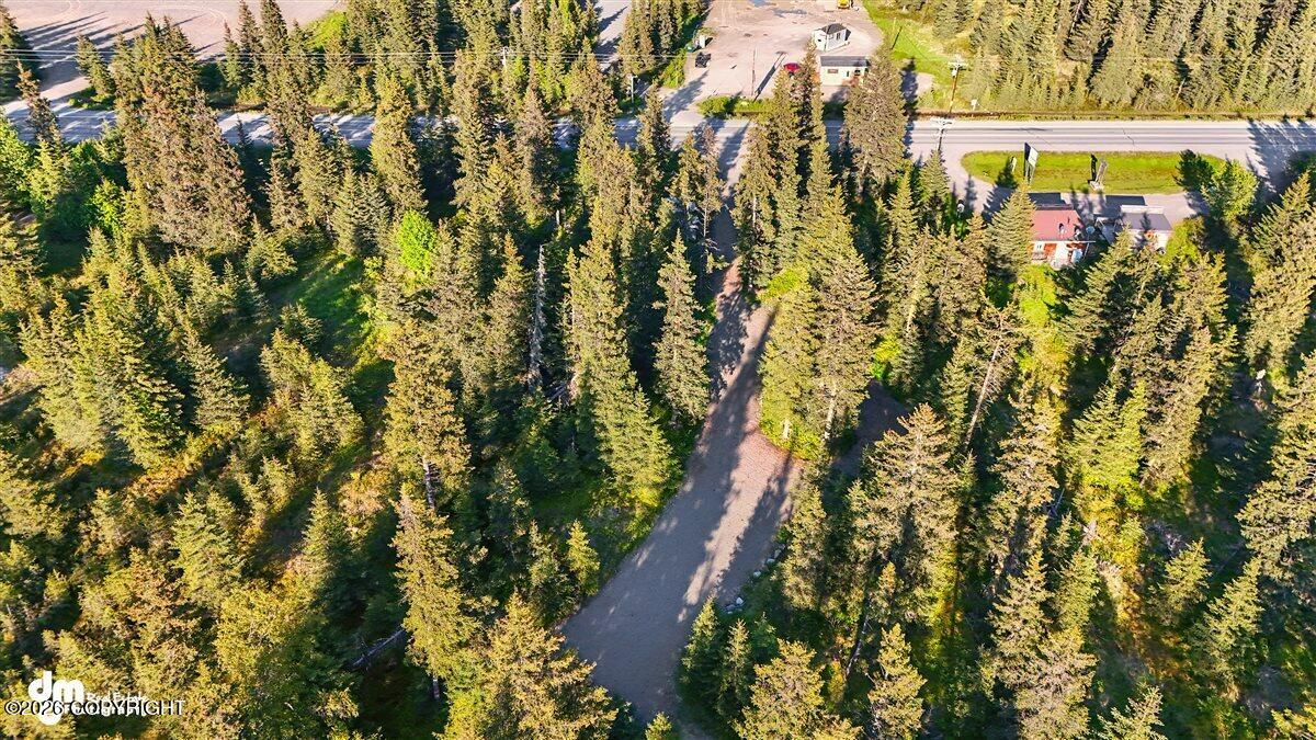 33175 Sterling Highway Property Photo 19