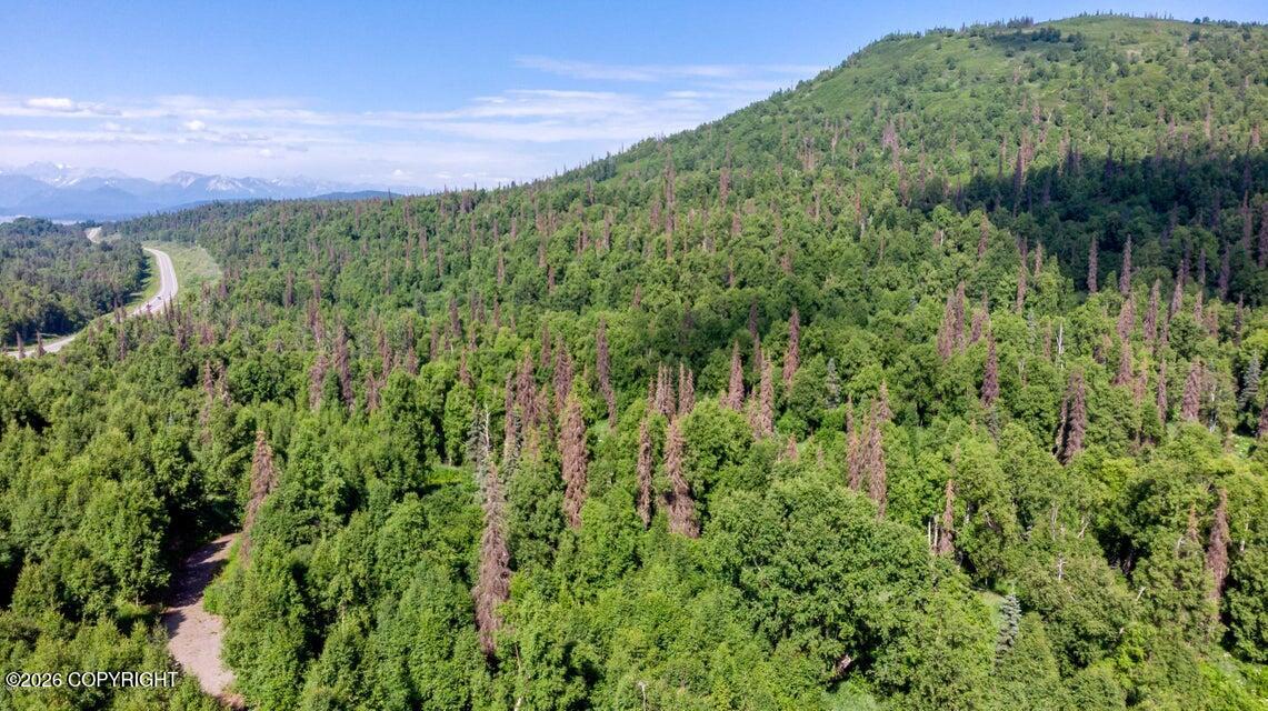 2187 N Parks Highway Property Photo 4