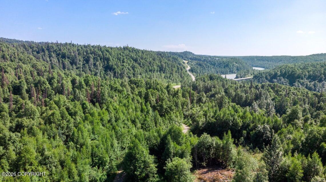 2187 N Parks Highway Property Photo 5