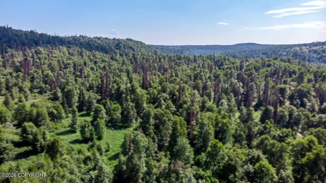 2187 N Parks Highway Property Photo 13