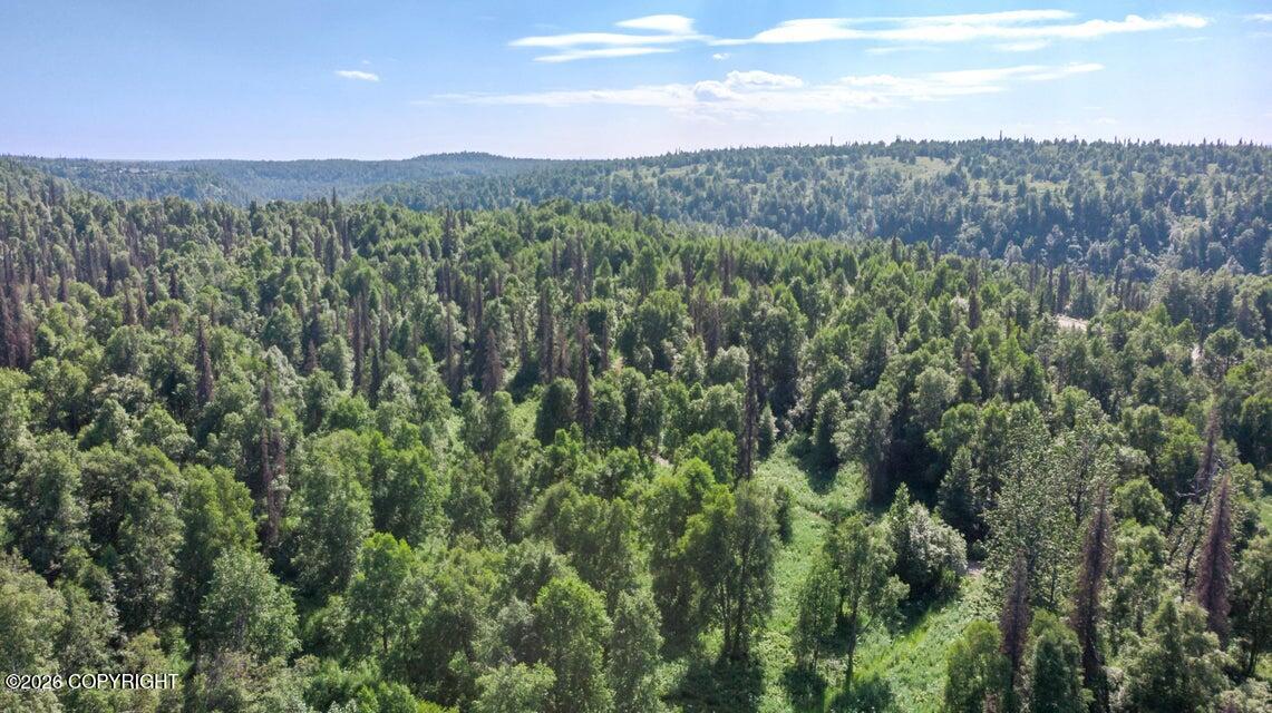 2187 N Parks Highway Property Photo 14