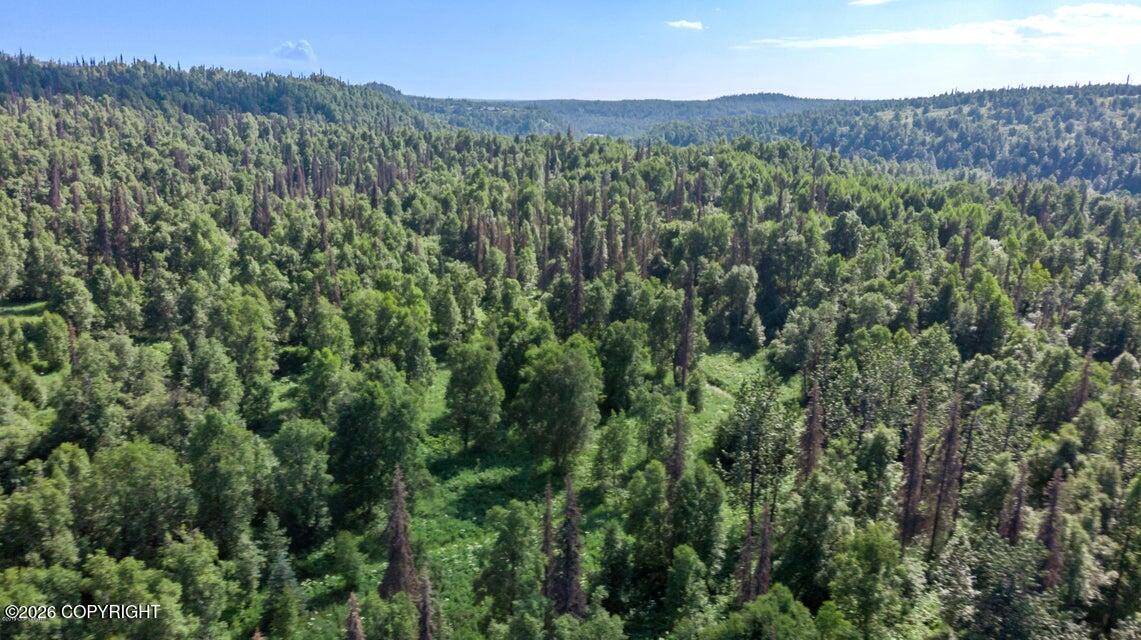 2187 N Parks Highway Property Photo 15