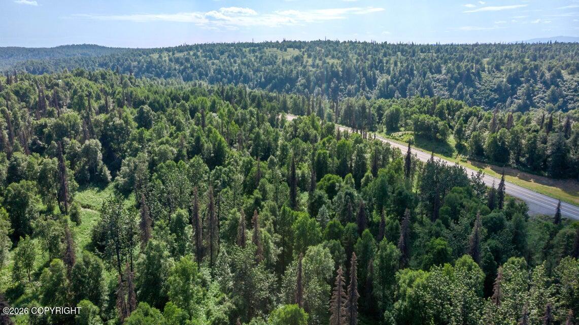 2187 N Parks Highway Property Photo 16
