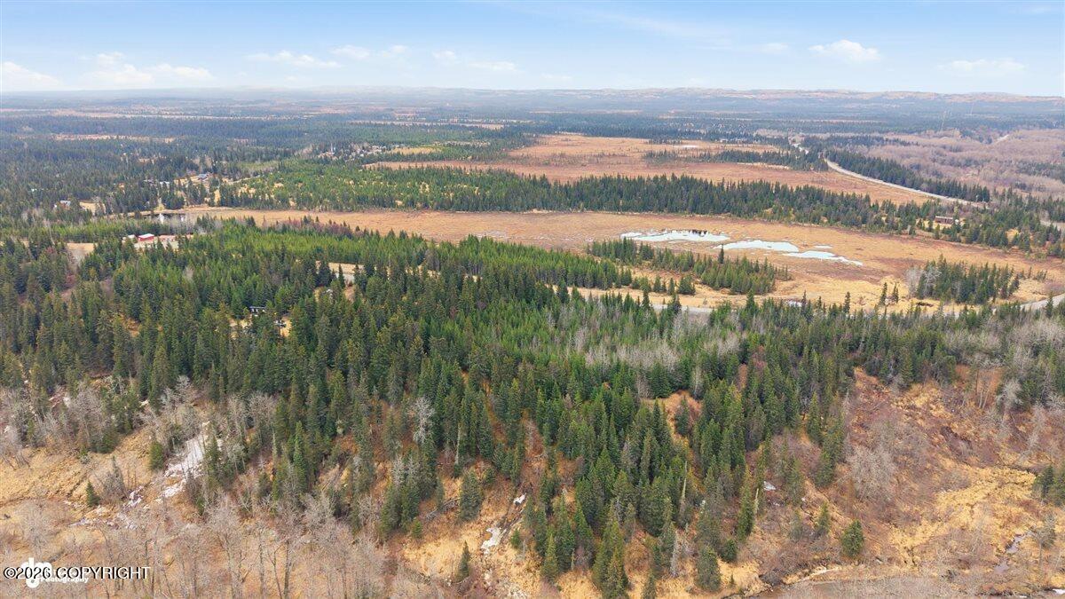 Mi 158 Sterling Highway Property Photo 2