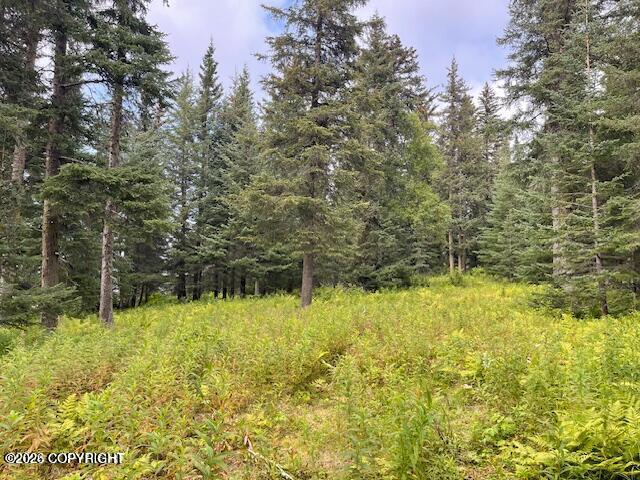 Mi 158 Sterling Highway Property Photo 6