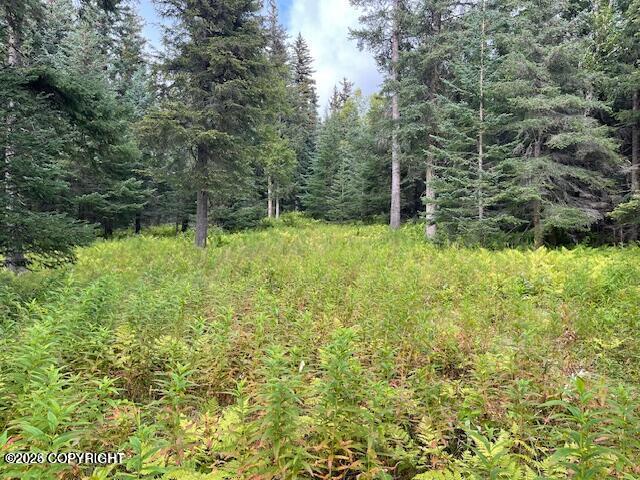 Mi 158 Sterling Highway Property Photo 7