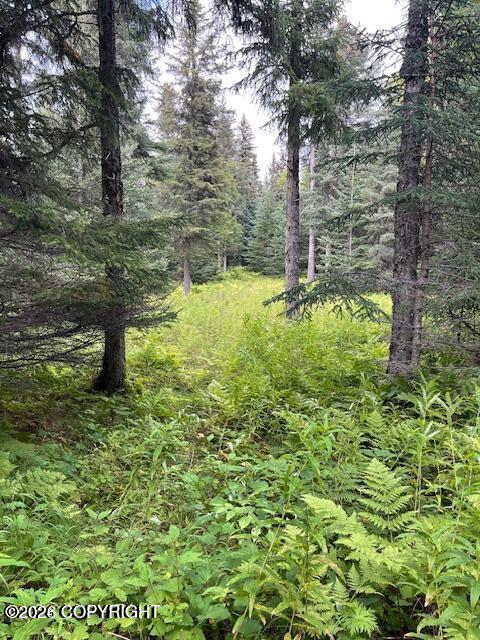 Mi 158 Sterling Highway Property Photo 8