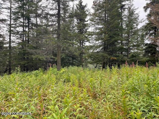 Mi 158 Sterling Highway Property Photo 9