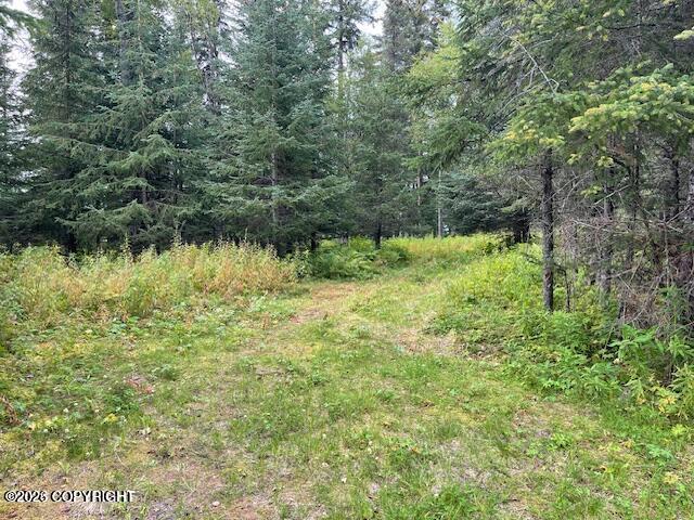 Mi 158 Sterling Highway Property Photo 10