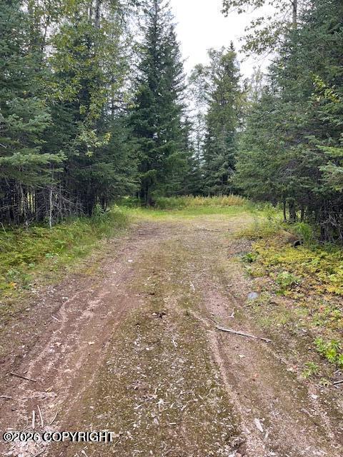Mi 158 Sterling Highway Property Photo 11