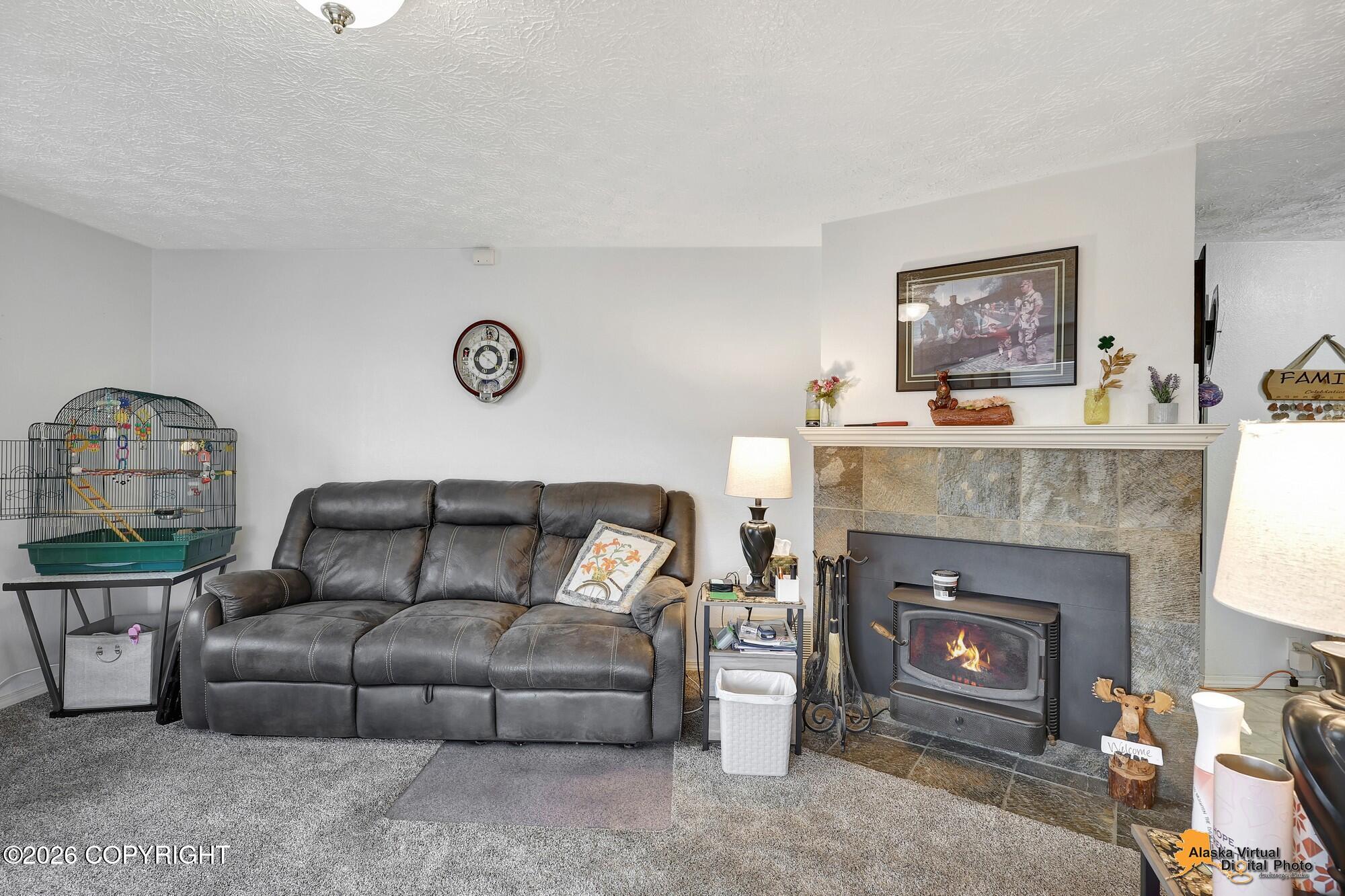 1005 W Tudor Road Property Photo 6