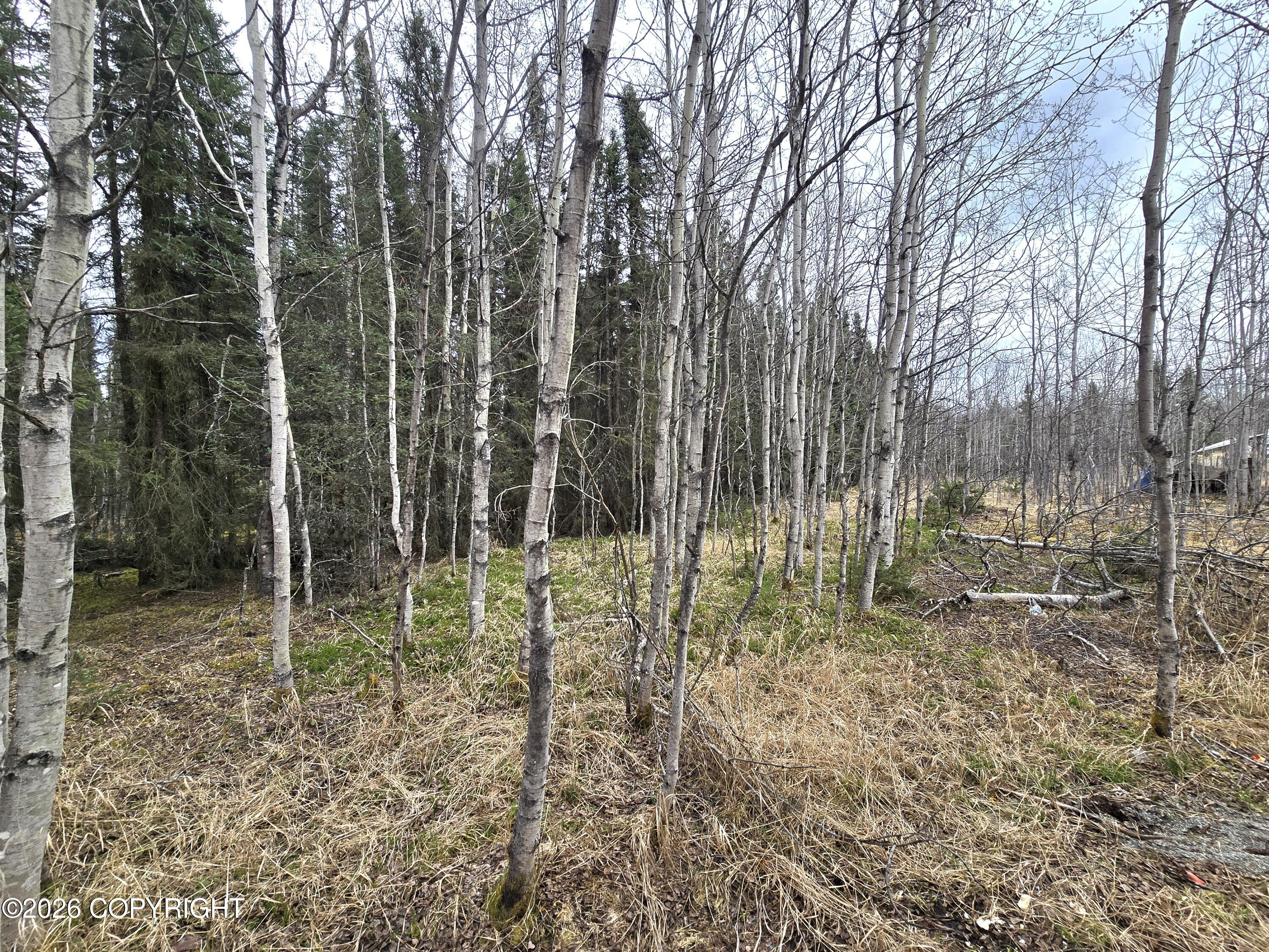 36096 Magnolia Street Property Photo 12
