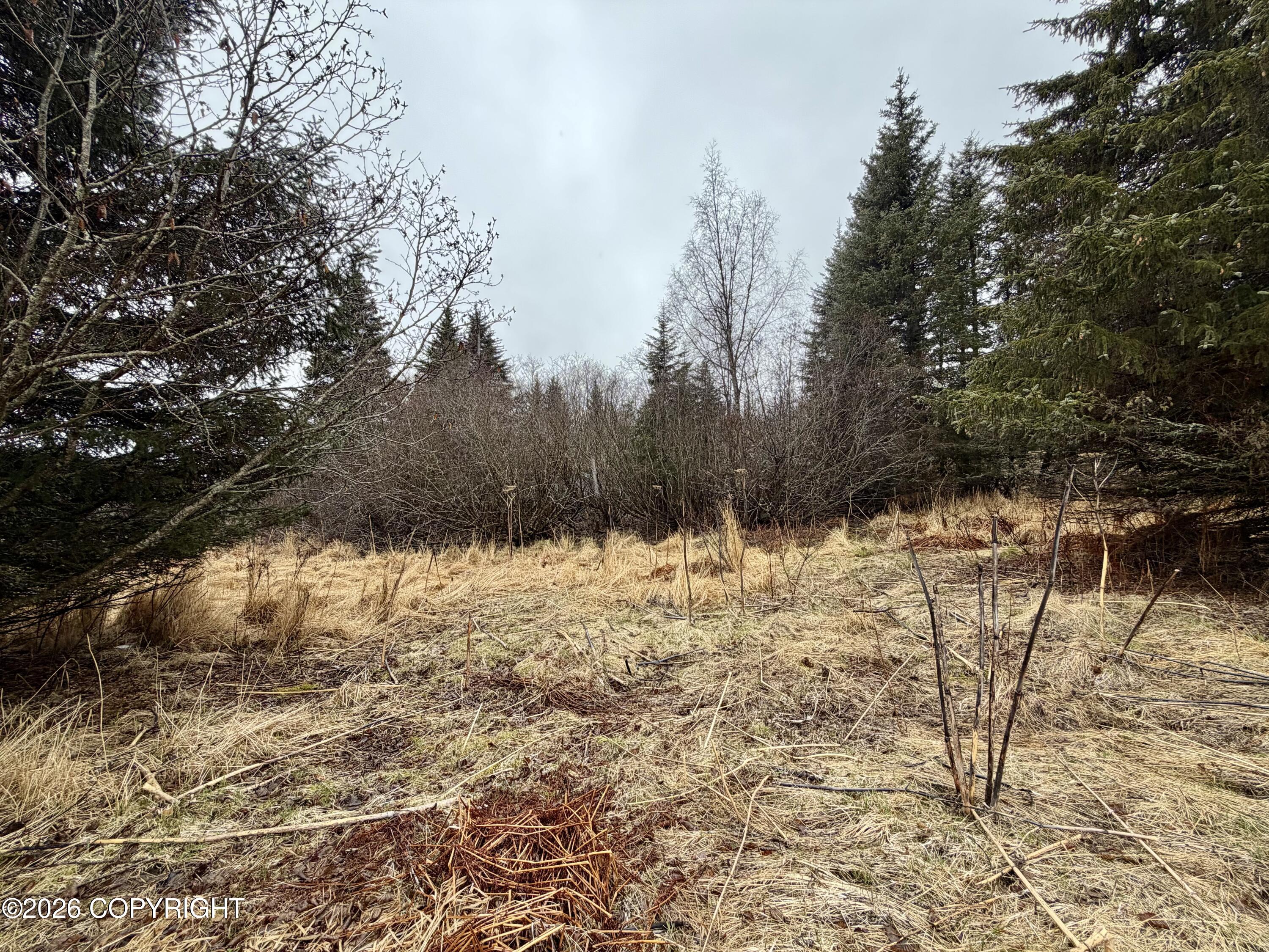 1611 E End Road Property Photo 3