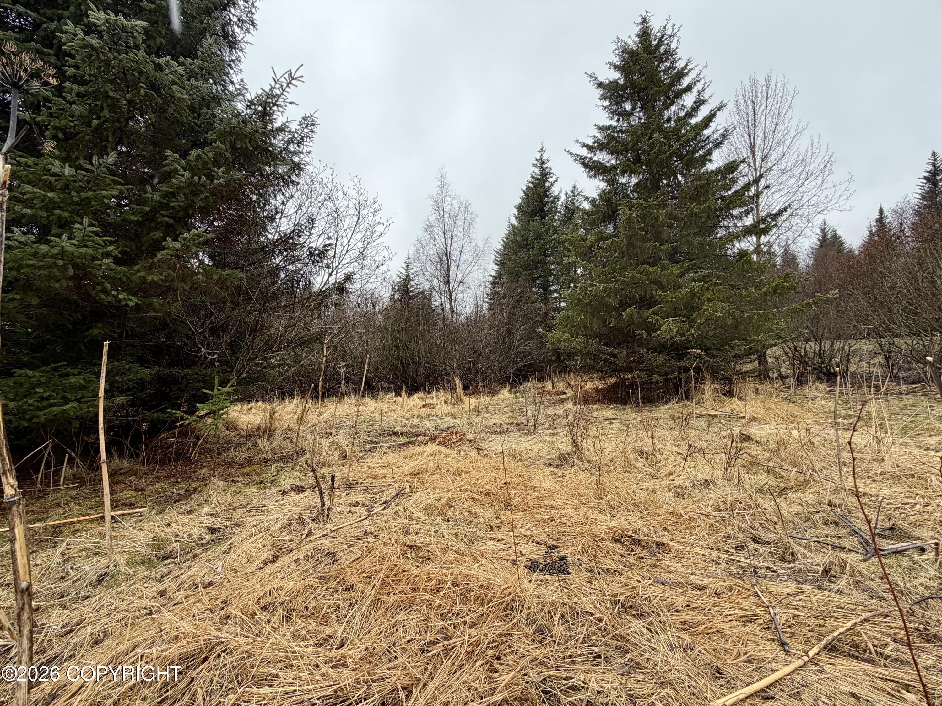 1611 E End Road Property Photo 4