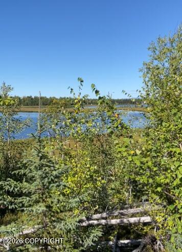 5280 S Horseshoe Lake Road Property Photo 2