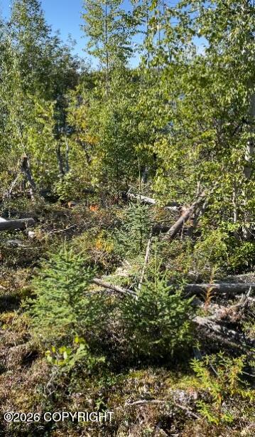 5280 S Horseshoe Lake Road Property Photo 3