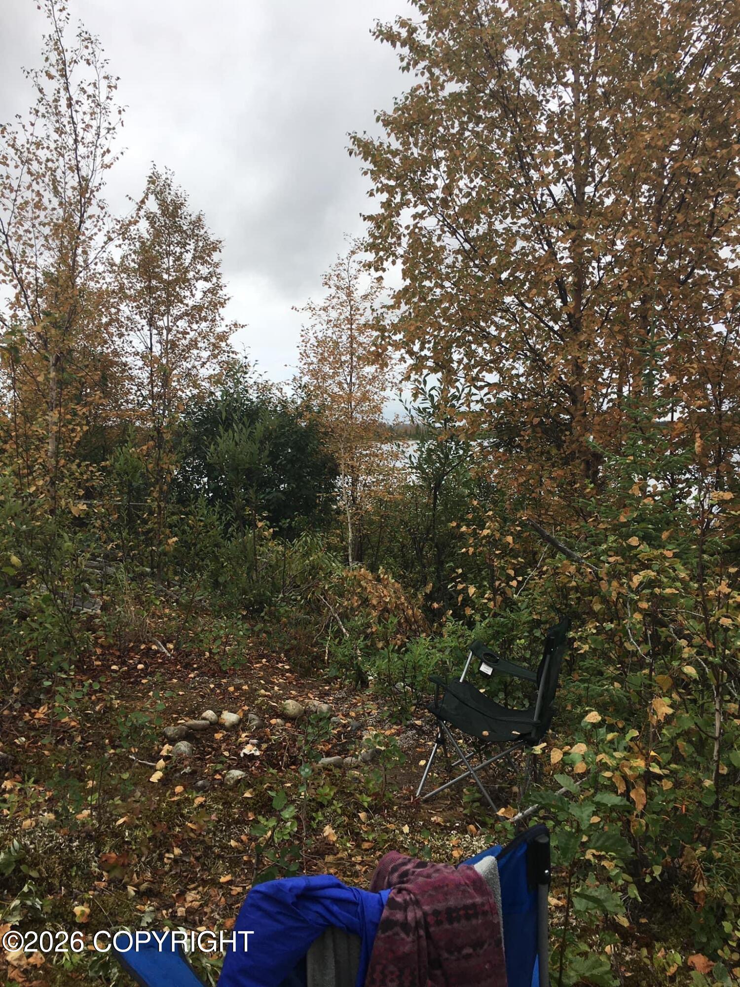 5280 S Horseshoe Lake Road Property Photo 4