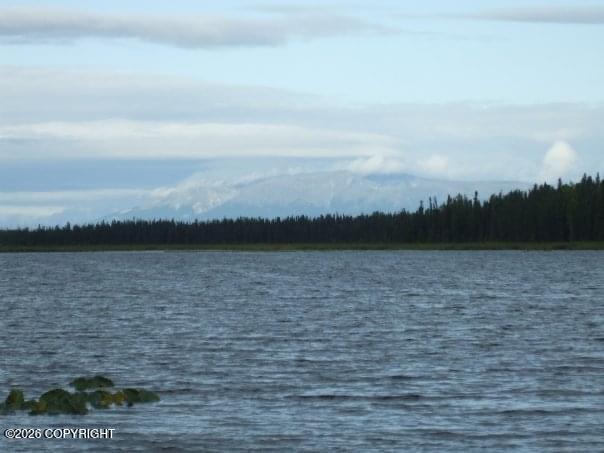 5280 S Horseshoe Lake Road Property Photo 7