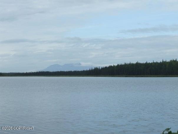 5280 S Horseshoe Lake Road Property Photo 8