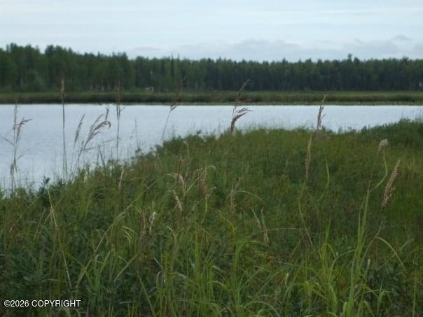 5280 S Horseshoe Lake Road Property Photo 9