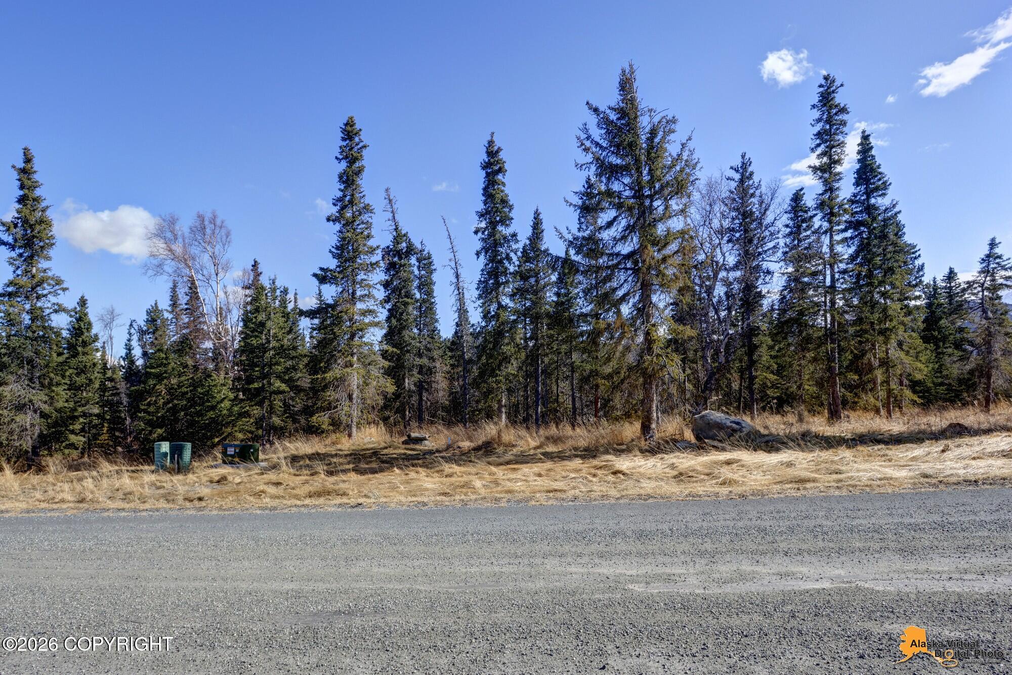 L4 B5 Mountain Air Drive Property Photo 24