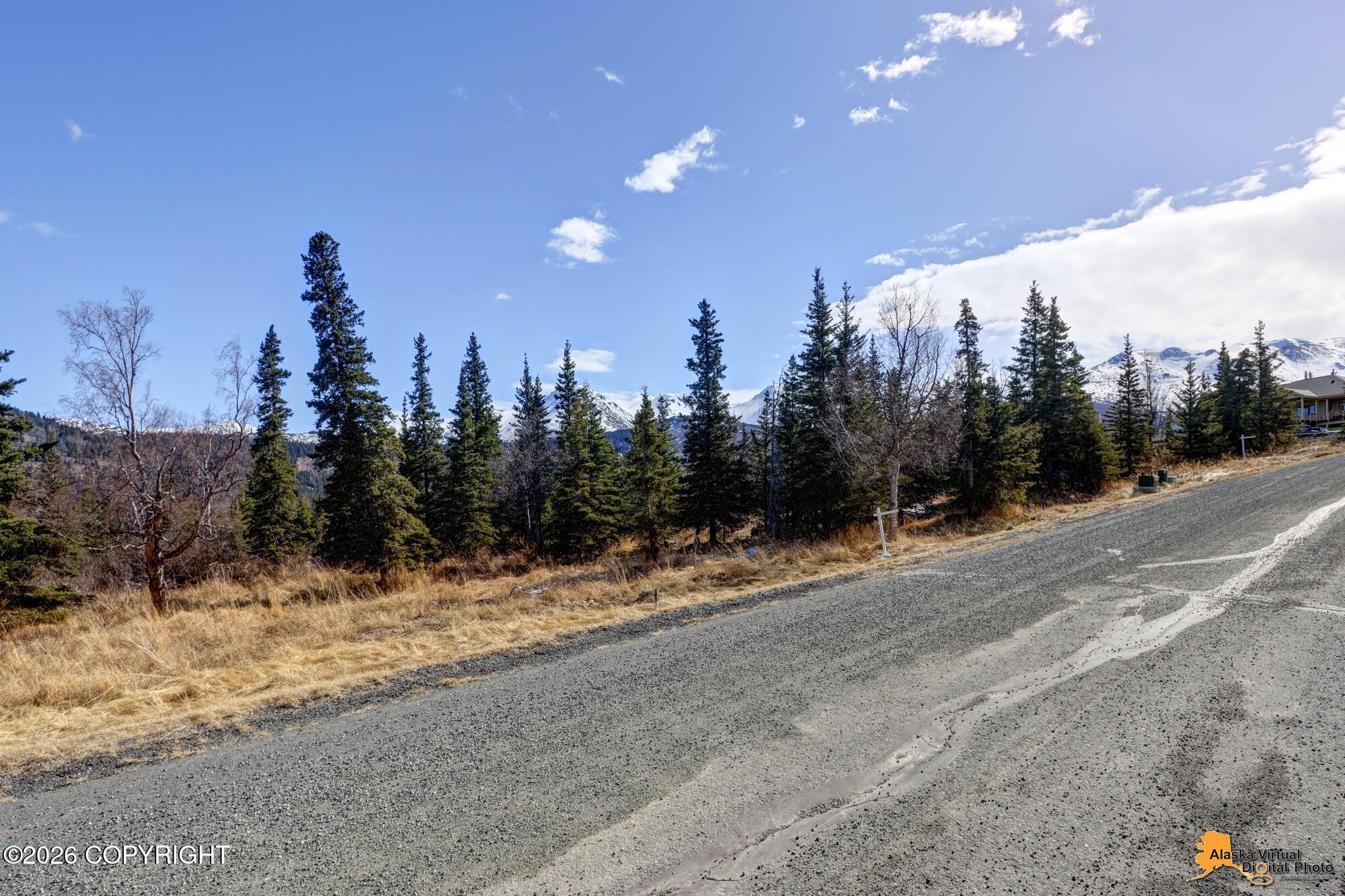 L5 B5 Mountain Air Drive Property Photo 26