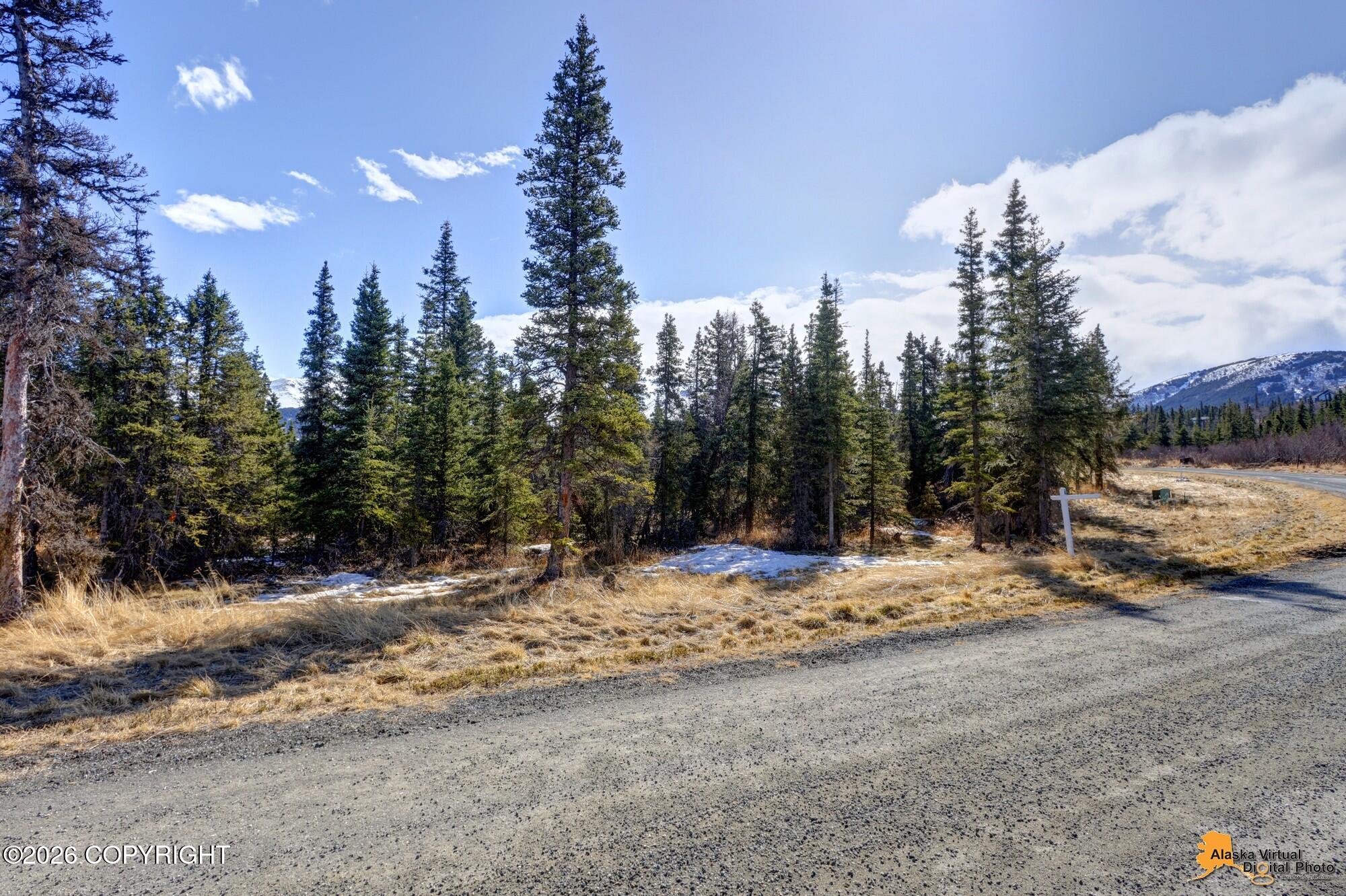 L6 B5 Mountain Air Drive Property Photo 23