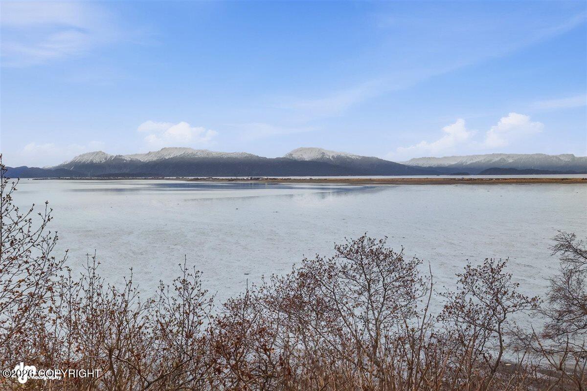 2675 Kachemak Drive Property Photo 20