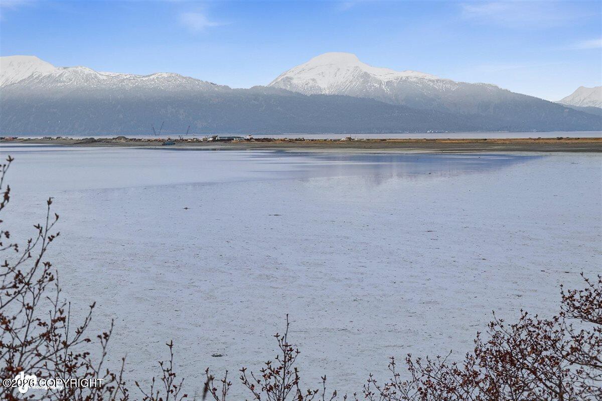 2675 Kachemak Drive Property Photo 21